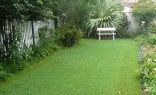 Grand Scene Landscaping & Design Lawn and Turf